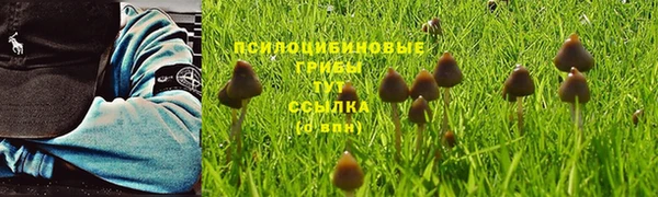 mix Верхний Тагил